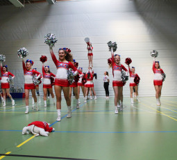 Probetraining bei den Cheerleadern Probetraining bei den Cheerleadern
