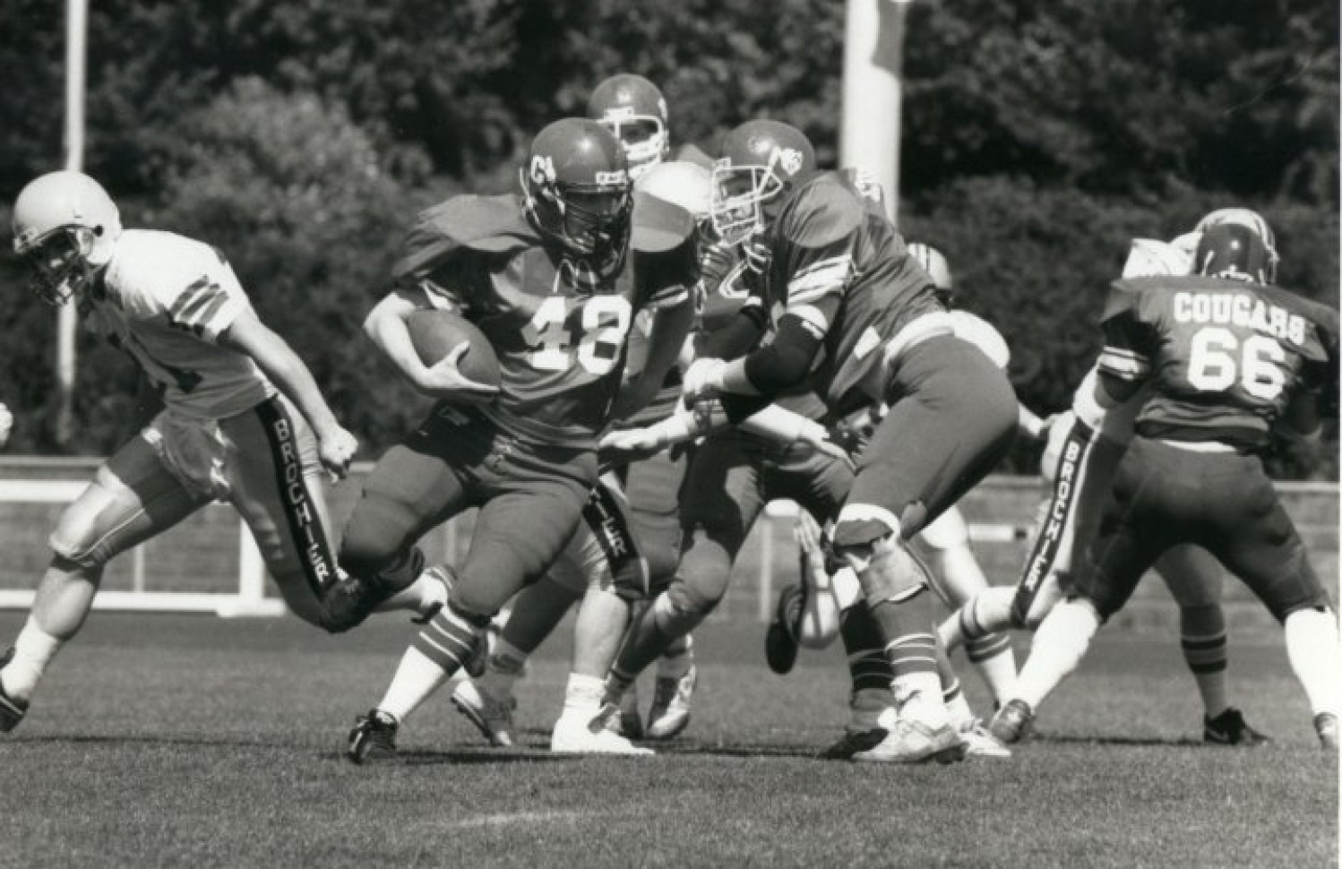 Lübeck Cougars - Saison 1995 - Regionalliga Nord/Ost